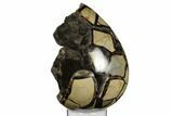 Bargain, Septarian Dragon Egg Geode - Black & Brown Crystals #183096-3